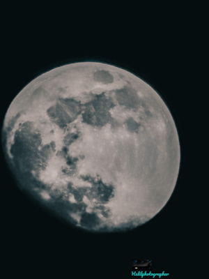 Wolf Moon 📷 / 13246