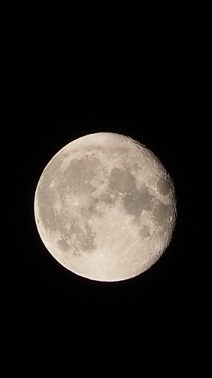 Moon / 30944