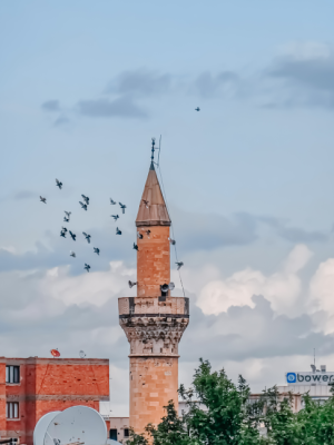 Camii minaresi eşliğinde Kuşlar / 37706