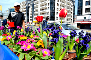 Diyarbakır'da Arabada Çiçek satışı / 16806