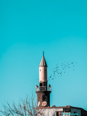 Minare ve Kuşlar 📷 10X Optik Zoomda / 16240