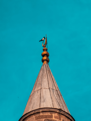 10X Optik Zoomda Nebi Camii Minaresi ve Kuş 🔭📷 / 26687