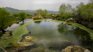 Mezre Gölü, Hazro, Diyarbakır / 35343