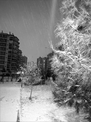 Diyarbakır da kış mevsimi / 11299