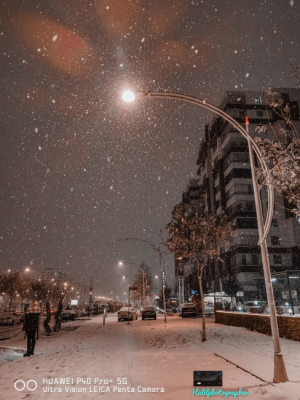 Night Snow ❄📷 / 11355
