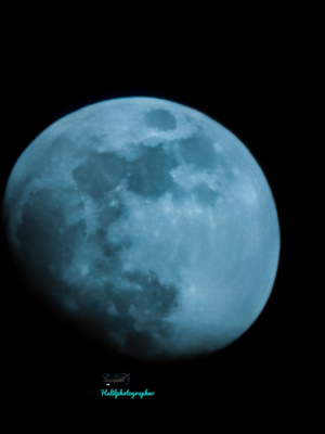 Blue Moon 🔭 / 12799