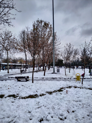 Diyarbakır da kış / 3524