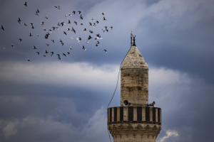 Parlı Sefa Camii Minaresi / 13554