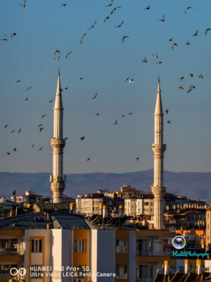 Cami Minaresi etrafında Karacadağ Manzarası eşliğinde uçuşan kuşlar 🔭📷 / 9510