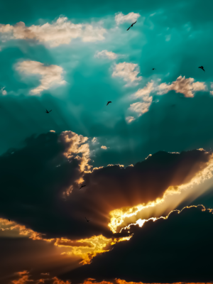 Sky 📷 3X Zoomda Bulutlar ve Kuşlar / 13465