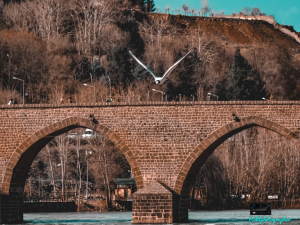 Yeniden düzenlenmiştir  📷 10X Optik Zoomda Ongözlü Köprünün üzerinde uçan Martının Uçuş anının Focuslanması 📷 / 14279