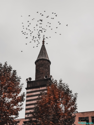 Nebi Camii Minaresi ve Kuşlar 📷 / 12722