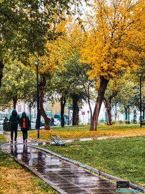 yagmurlu-bir-sonbahar-sabahindan-diyarbakir-sonbahar-yagmur-surici-yagmurlu-ikigozum / 38192