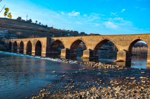 On Gözlü Köprü | Sonbahar | Dicle Nehri / 11536